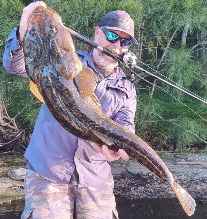 Flathead