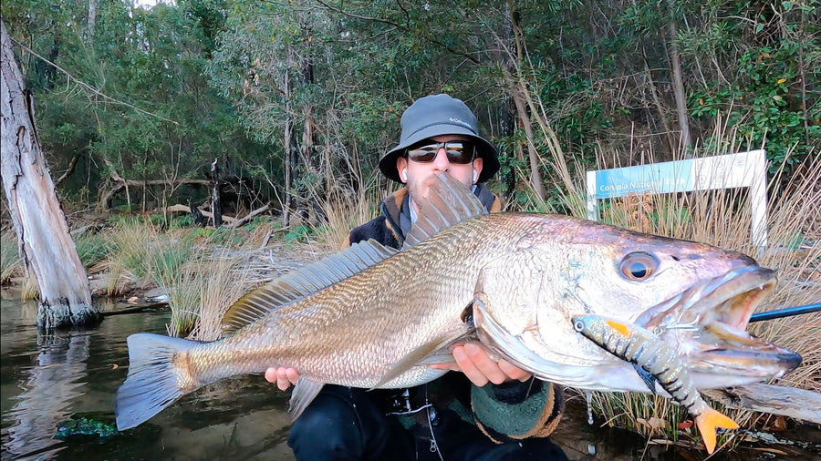 Mulloway