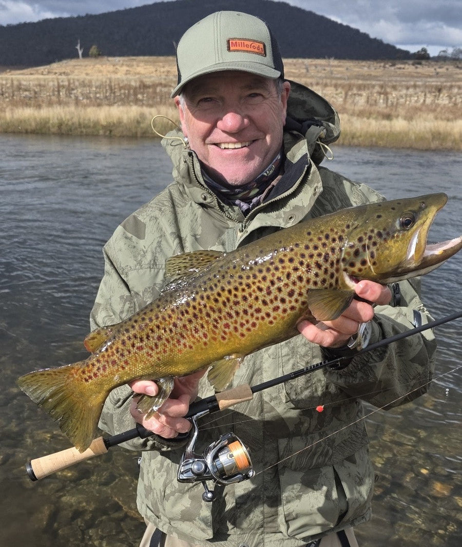 Trout