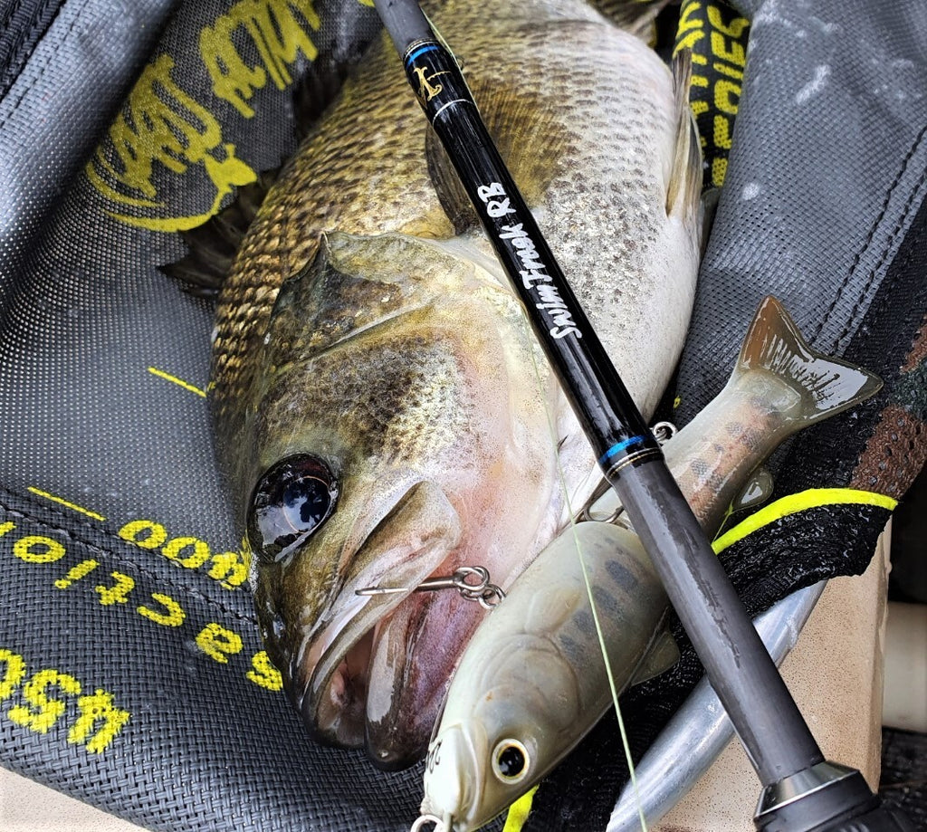 RIVERBASS SwimFreaK 661