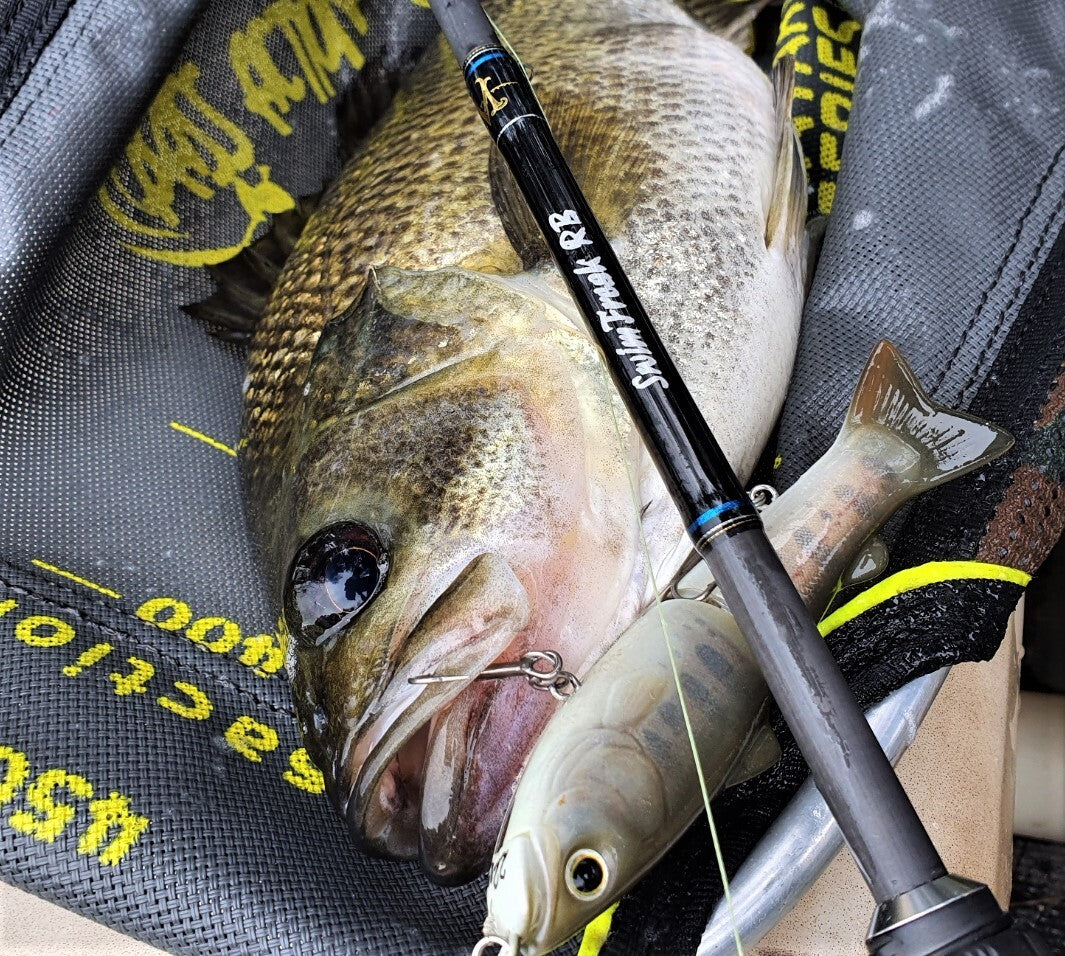 RIVERBASS SwimFreaK 661