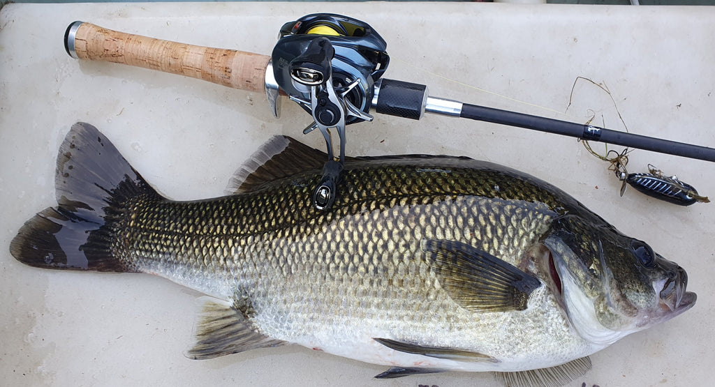 Drifter BFS Bass 601