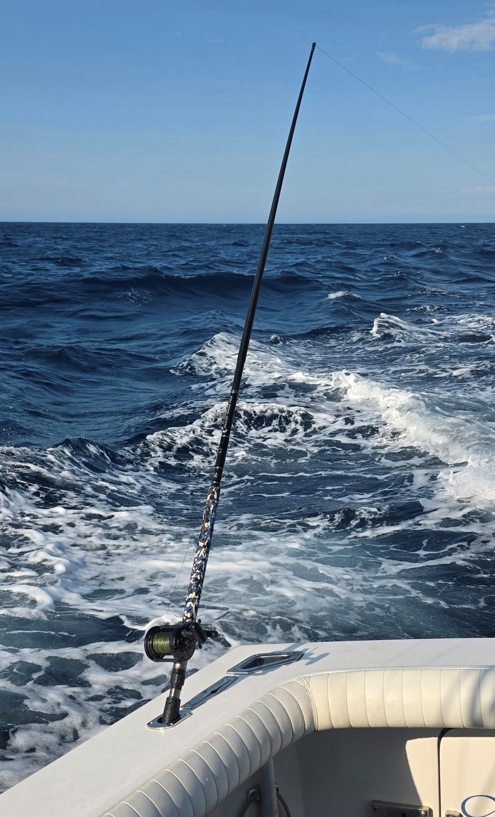 Teaser Pole Billfish