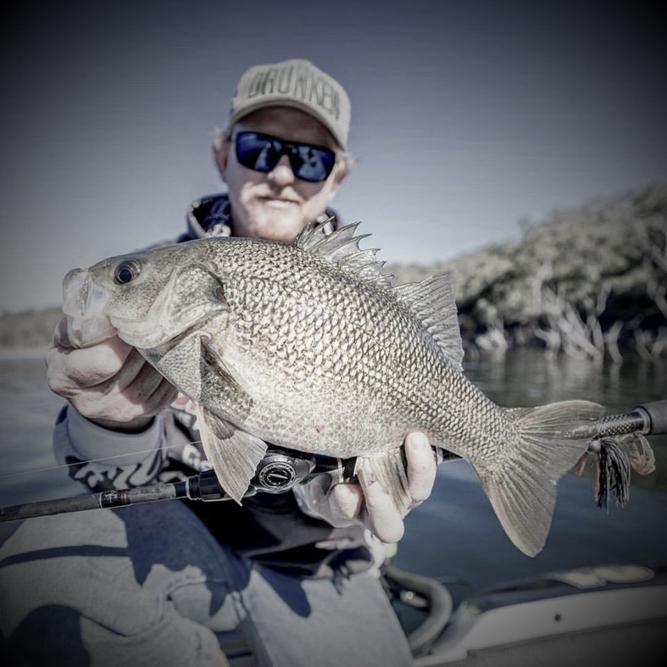 SwitchFreak UL 7'3"