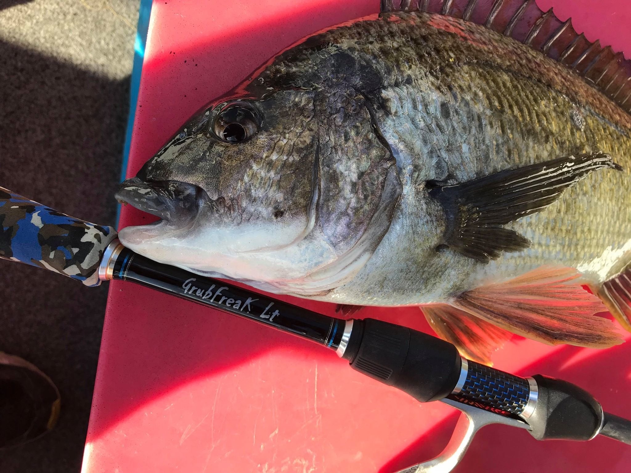 GrubFreak Lt 7'3" 2pc